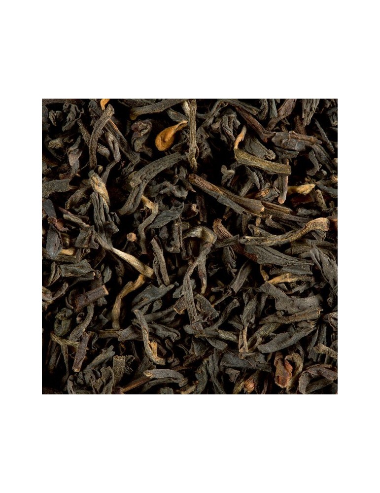 Tarry Souchong