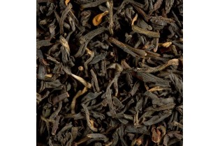 Tarry Souchong