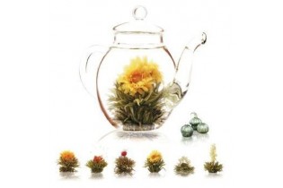 Coffret théière en verre 500 ml + 6 fleurs de thés noir
