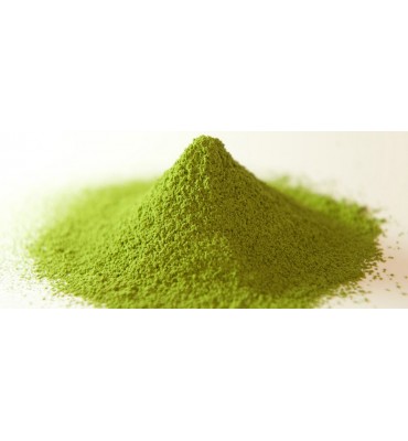 Matcha BIO (la boîte de 20 g)