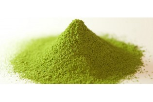 Matcha BIO (la boîte de 20 g)