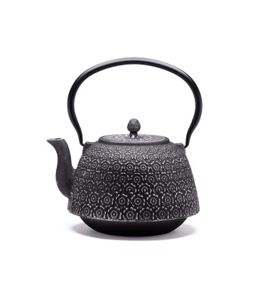 THÉIÈRE FONTE DE CHINE -...